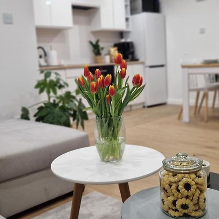 Apartament Na Skalkach Jelenia Gora Exterior photo